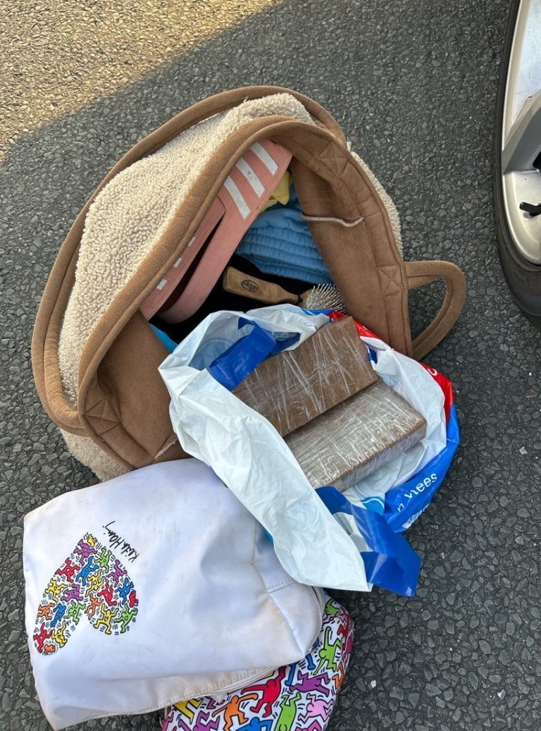 „Dicker Fisch gepackt“ Zoll fasst Drogentransport aus Holland