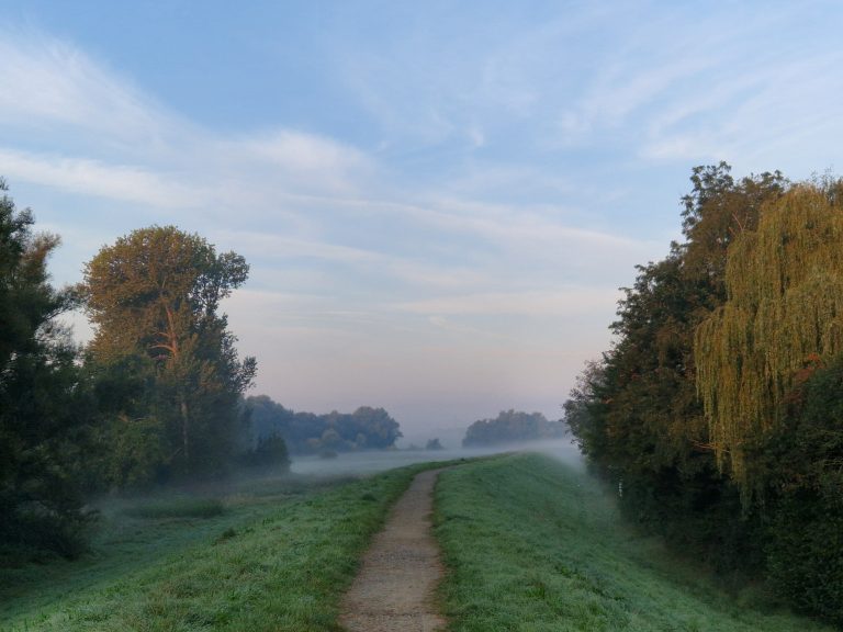 Herbstlicher Morgen an der Werre