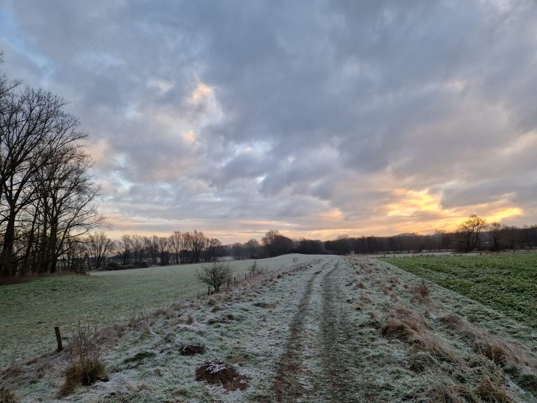Wintermorgen an der Werre