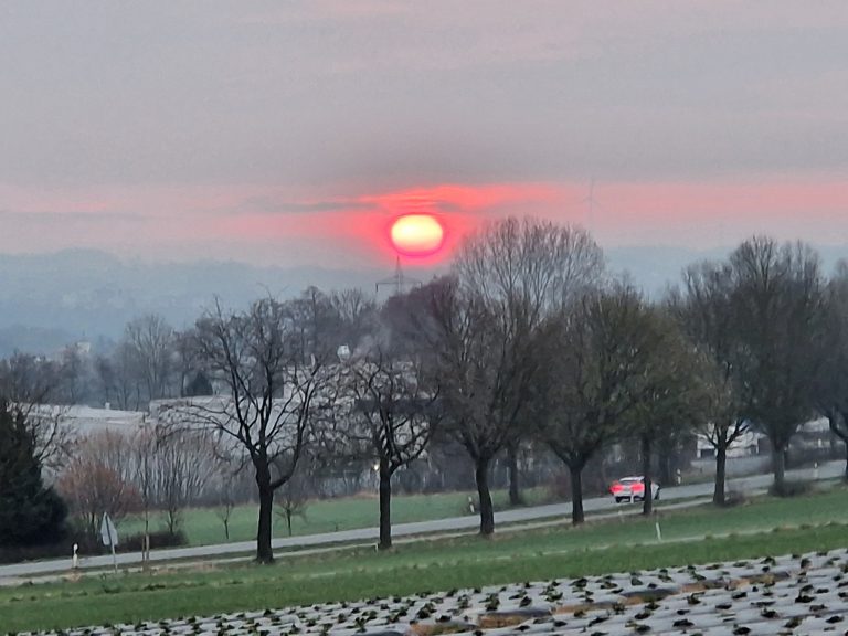 Sonnenaufgang – im Frühling