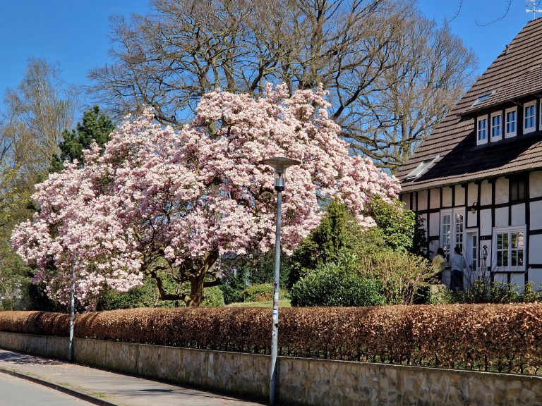 Frühling – auf Schmidts Hof