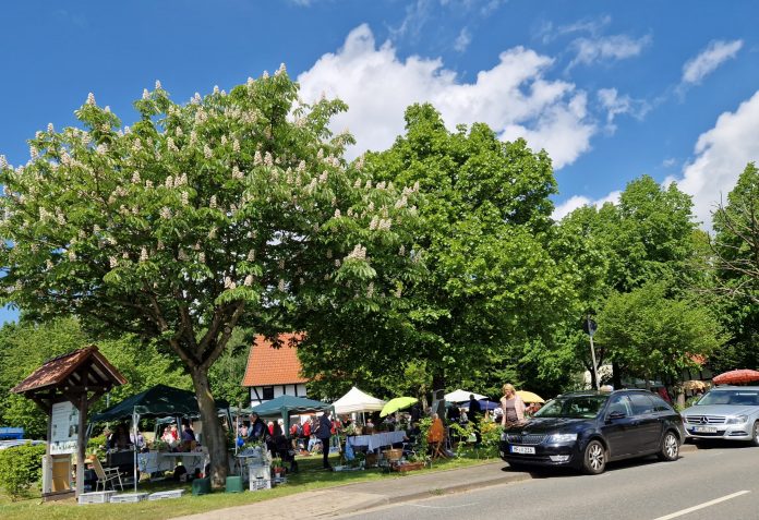 Gartenflohmarkt Bischofshagen